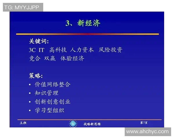 保险公司与战报的较量：如何在风险管理中实现双赢策略