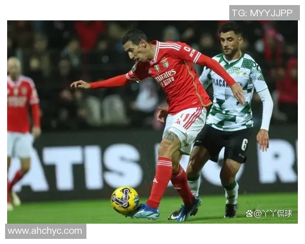 莫陆军迎战本菲卡强强对决引发球迷热议与期待 莫陆军迎战本菲卡强强对决引发球迷热议与期待