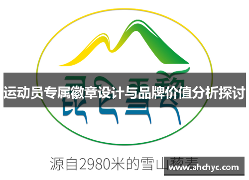运动员专属徽章设计与品牌价值分析探讨
